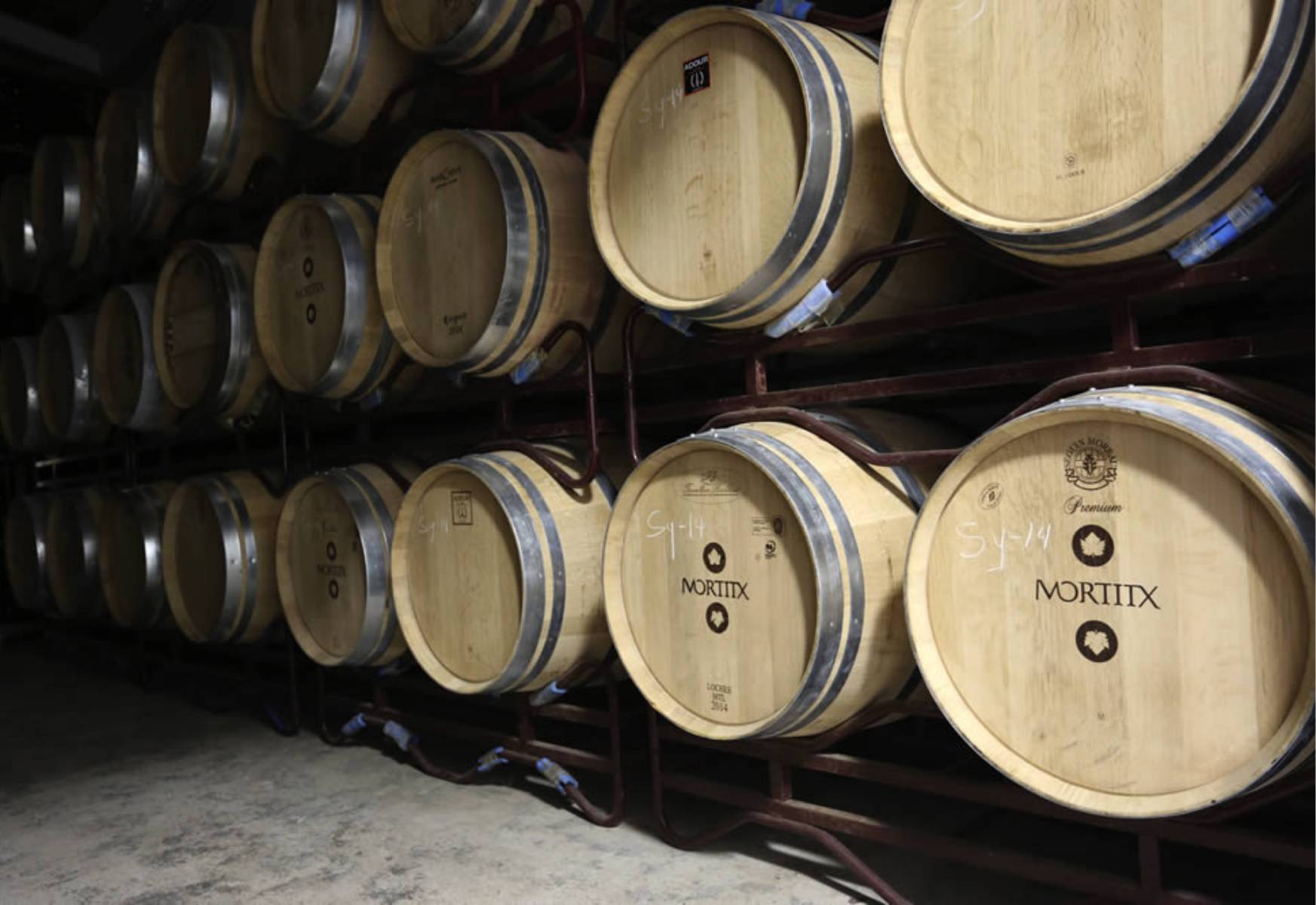 Instalaciones de Vinyes Mortitx – Bodega, Tienda y Wine Bar en la Serra de Tramuntana