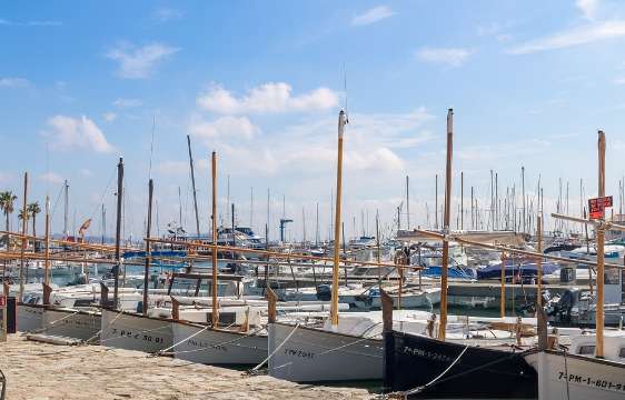 La Tramuntana – Paisaje y Patrimonio enológico en Vinyes Mortitx Mallorca