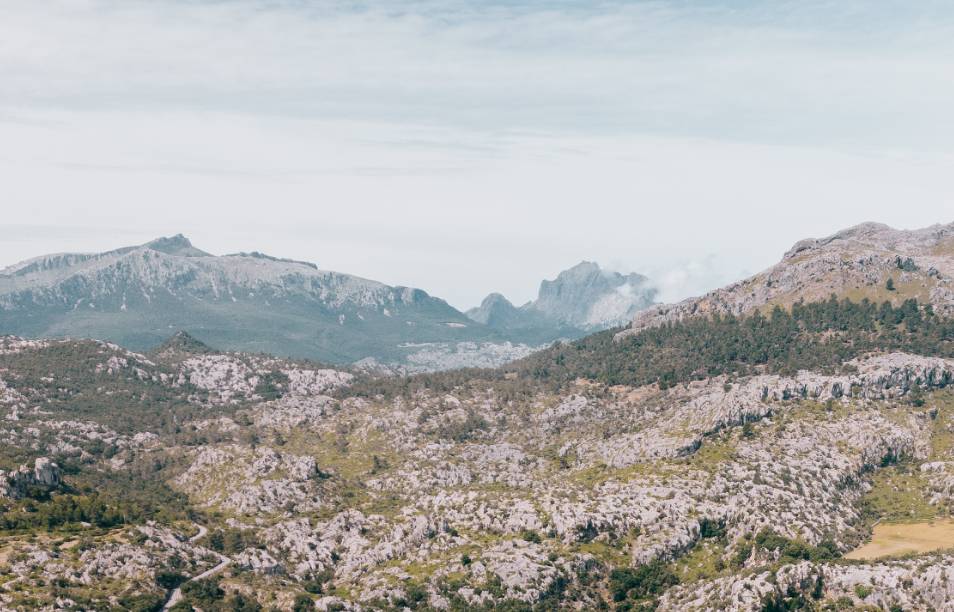 La Tramuntana – Paisaje y Patrimonio enológico en Vinyes Mortitx Mallorca