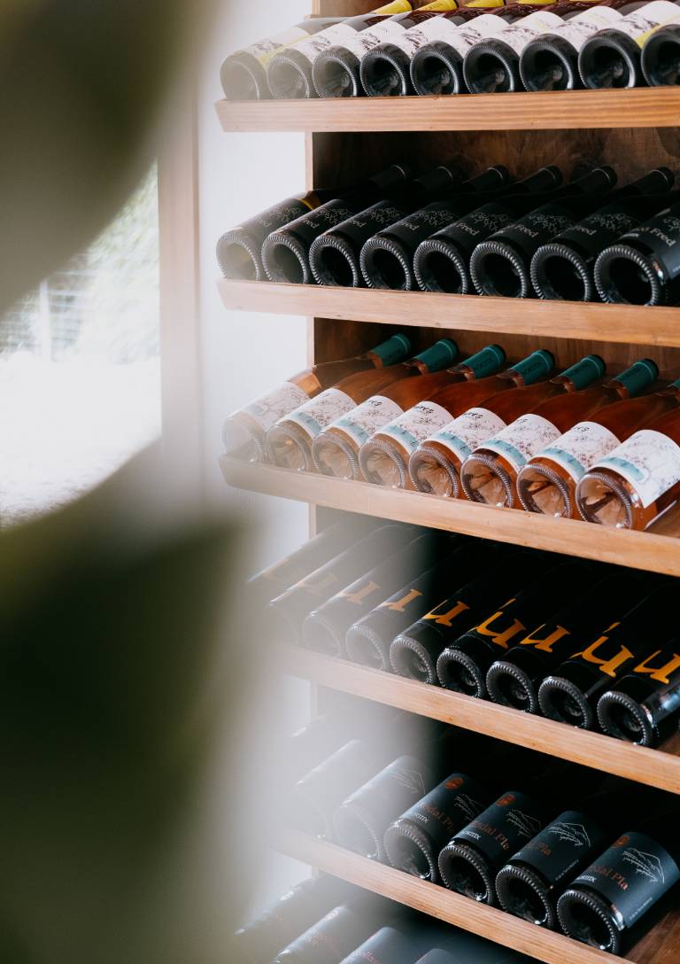Vinyes Mortitx – Winery in the Serra de Tramuntana, Mallorca